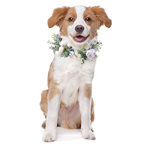 Honoson Hunde-Hochzeits-Blumenhalsband, Hunde-Hochzeitskleidung, Kranz, Schleife, für Hochzeiten, Blumenring, Haustiere, Katzen und Hunde, Haustier-Foto-Requisite (klein) von Honoson