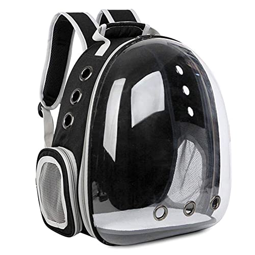 Hoogtecly Katzerucksack mit Vornes Transparentes Fenster, Katze Rucksack Tragbar Transportrucksack Transporttasche für Haustiere Reisen Atmungsaktive Kapsel Rucksack für Katzen von Hoogtecly