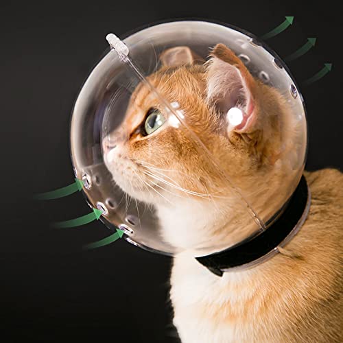 Hoqqf Katze Transparent Maulkorb M Größe Atmungsaktive Katze Kapuze Einstellbar Kätzchen Astronaut Helm Verhindern Von Katzen Beißen Kauen Fellpflege Katzenball Maske für Aggressive Katze von Hoqqf