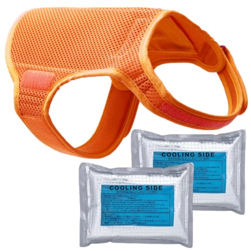 Horay World Kühlweste für Hunde - Kühlweste Hund mit innovativen Kühlakkus (XL, Orange) von Horay World