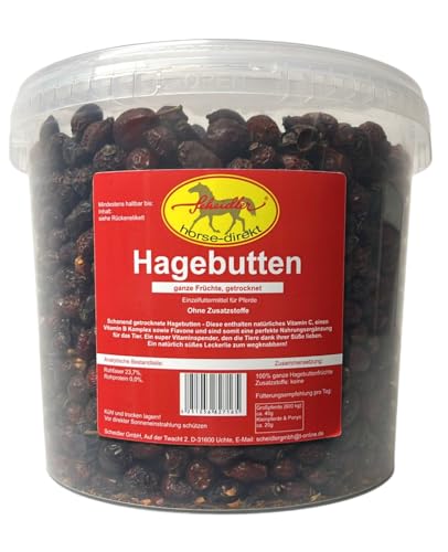 Scheidler horse-direkt Hagebutten getrocknet für Pferde 2kg – Ganze Hagebutte in Spitzenqualität – 100% Natürlicher Vitamin C Booster – Ideales Pferdeleckerli/Zusatzfutter ohne Zuckerzusatz von Scheidler horse-direkt