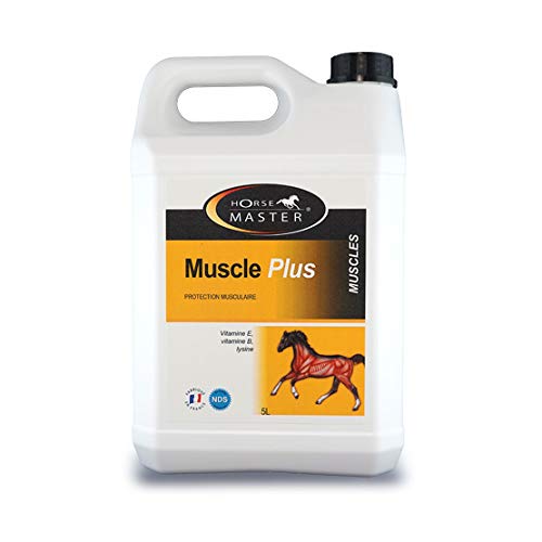 MUSCLE PLUS -supplement 5 L von HorseMaster