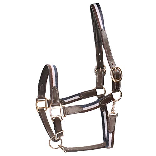 Horsegear Halfter Finn Dunkelblau-Braun - Pony von Horsegear