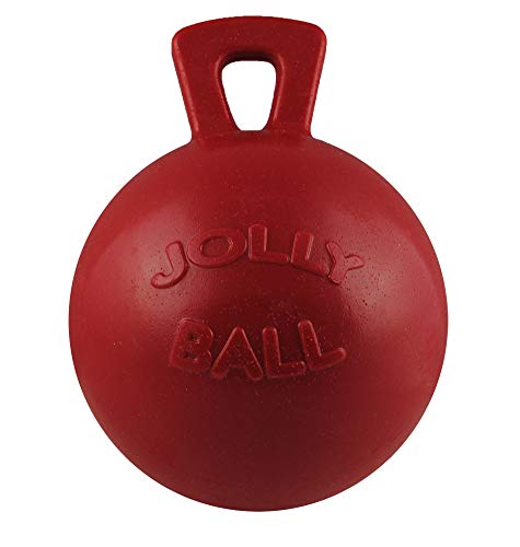 Waldhausen Jolly Ball, 25 cm, rot, rot, 10-Inch von Horsemen's Pride