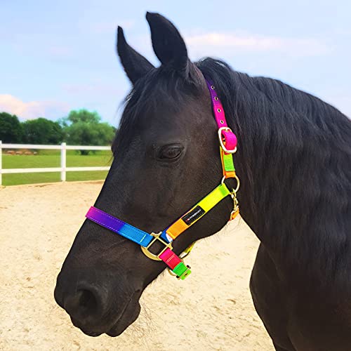 Horsenjoy Halfter Nylonnhalfter Stallhalfter Weidehalfter Pferdehalfter Tropical Heat Pony von Horsenjoy