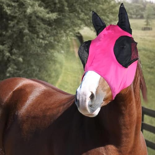 Horses, Fliegenmaske aus Lycra mit Netz Einsatz, Leichte und atmungsaktive Fliegenmaske, behindert Nicht das Sichtfeld des Pferdes, Augen- und Gehörschutz (Shetland, Rosa) von Horses