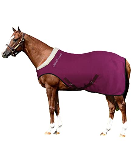Horses, Pferdedecke Fleece Cosy Walk, Hervorragend Verarbeitete Decke, Nützlich zum Schutz des Pferdes vor Temperaturschwankungen, Regen und Insekten (Bordeaux, 128 cm) von Horses