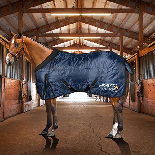 Horses, Winterdecke Für Pferde Thermo 350 gr, Ideal für Box, mit Rundhalsausschnitt und Quetschsicherem Schweifbezug, Weich, Bequem mit Frontschlitz, Erhältlich in Blau (155 cm) von Horses