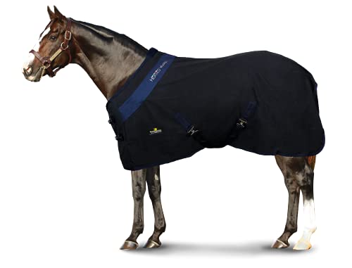 Horses Coperta Box Cotone Maddy 2-153 - BORDEAUX/BLU-120-120 cm von Horses