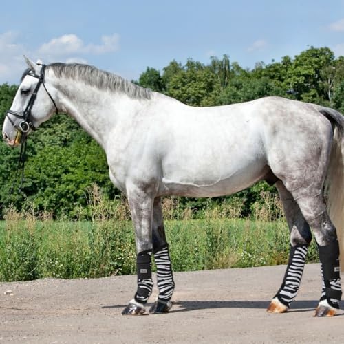 Horses Fly Zebra Schienbeinschoner zum Reiten, weich und strapazierfähig, maximaler Schutz vor Trauma und Wunden (Zebra, Cob) von Horses