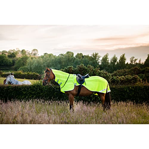 AMIGO Reflektierende Decke für Pferde Horseware Flyrider von Horseware