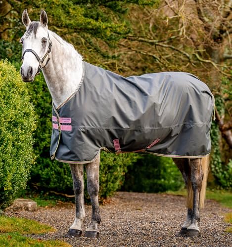 Amigo Hero Ripstop lite, 110, shadow/rose&navy von Horseware