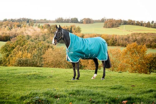 Horseware Amigo Bravo 12 Wug medium Storm Green Größe wählbar (115) von Horseware