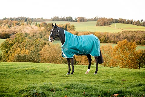 Horseware Amigo Bravo 12 Wug medium Storm Green Größe wählbar (155) von Horseware