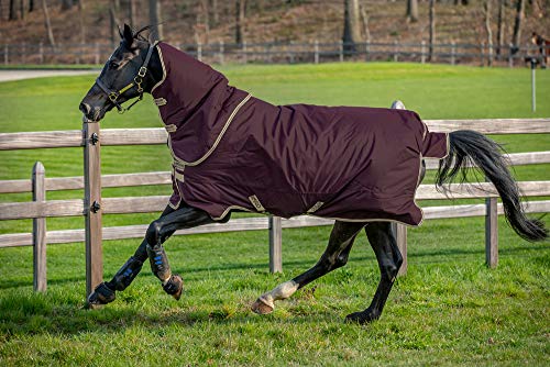 Horseware Amigo Hero Ripstop Plus 100g Weichen Teppich 125cm Fig/Navy & Tan von Horseware