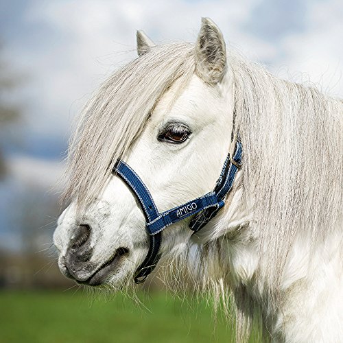 Horseware Amigo Petite Headcollar - Navy/Silver - Halfter von Horseware