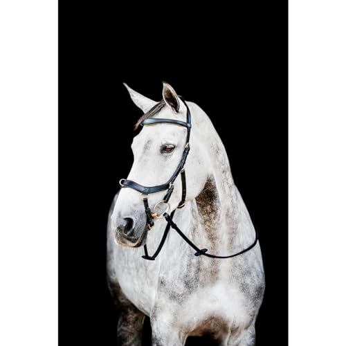 Horseware HW Micklem2 Multi Bridle, Warmblut, Schwarz von Horseware