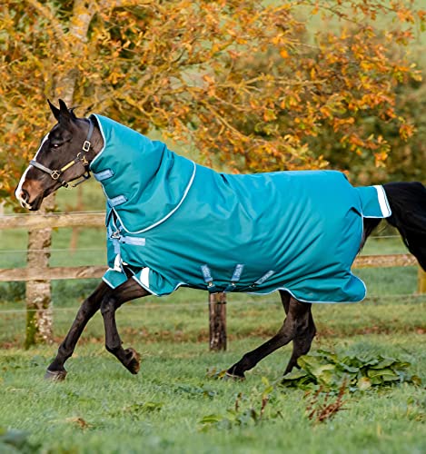 Horseware Ireland Amigo Bravo 12 Plus Weidedecke (400 g schwer, 250 g Kapuze), Größe: 66, Farbe: Sturmgrün (Aqua/Türkis-Rand) von Horseware