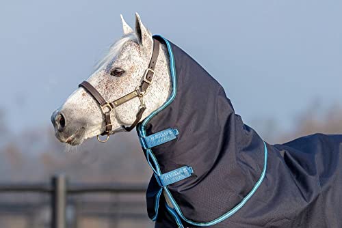 Horseware Irland Amigo Bravo 12 T/O Hood 150g Navy/Turquoise XL von Horseware