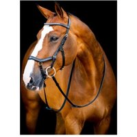 Horseware Micklem Diamante Competition Bridle WB (Warmblut) von Horseware