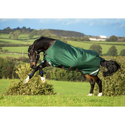 Horseware Rambo Original Turnout Lite 100g - Green/Red von Horseware