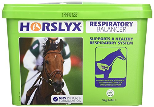 Horslyx 5060050110031 Wanne - Respiratorisch, 5 kg von Horslyx