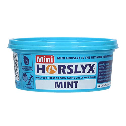 Horslyx Minze - Sonstige - 5 Kilo von Horslyx