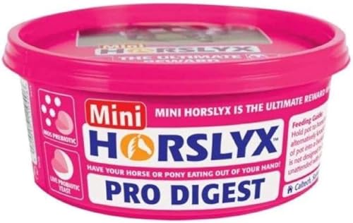 Horslyx Pro Digest, 650 g von Horslyx