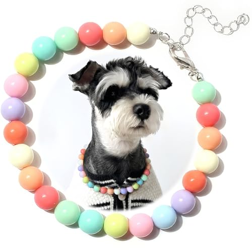 Hosiwei Halsband für Hunde und Katzen, Regenbogenperlen, Kunstperlen, Haustierschmuck, bunte Bonbonfarben, Größe M (2,5 - 4,5 kg) von Hosiwei