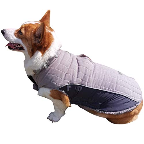 Winter Jacken Hundemantel Hundepullover Haustier Skifahren Hunde Kostüm Winterjacke Weste Mit Kapuze Abnehmbarer,Grau,2XL: Chest (68-78CM) von HotYou