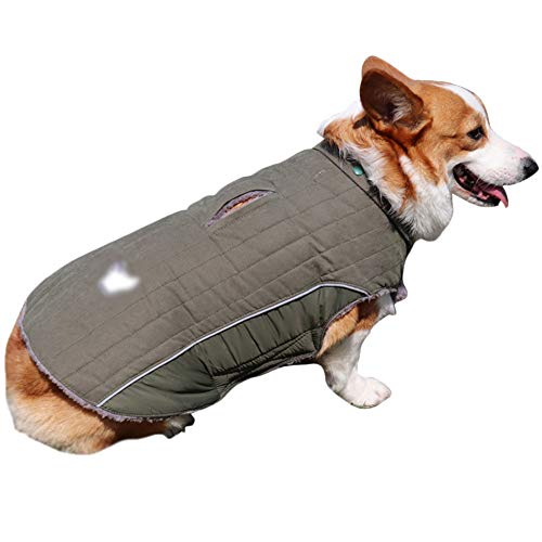 Winter Jacken Hundemantel Hundepullover Haustier Skifahren Hunde Kostüm Winterjacke Weste Mit Kapuze Abnehmbarer,Grün,L: Chest (53-60CM) von HotYou