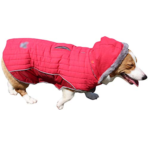 Winter Jacken Hundemantel Hundepullover Haustier Skifahren Hunde Kostüm Winterjacke Weste Mit Kapuze Abnehmbarer,Rot,2XL: Chest (68-78CM) von HotYou