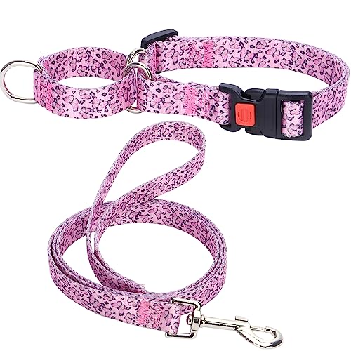 Hotlion Martingalhalsband und Leine, Set aus weichem Nylon, für kleine Hunde, strapazierfähig, ausgefallenes Welpenhalsband mit Schnellverschluss-Schnalle, verstellbar, für Haustiertraining, rosa von Hotlion