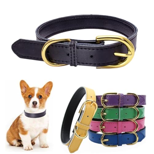 Hundehalsband aus Leder mit Schnalle, verstellbar, weich, atmungsaktiv, Leder, Welpenhalsband, wasserdicht, Haustierhalsband für kleine, mittelgroße und große Hunde, Schwarz, S von Hotlion