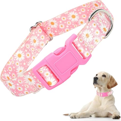 Hundehalsband für kleine Hunde, Schnellverschluss-Schnalle aus Kunststoff, langlebig, hübsches Blumenmuster, für weibliche Katzen, für XS, S, M, L, XL, Hunde, Spaziergangstraining (Gänseblümchen, S) von Hotlion