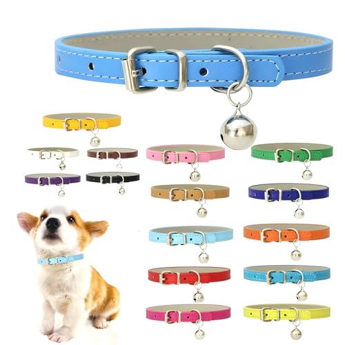 Hundehalsband mit Glöckchen, PU-Leder, mit Glöckchen, verstellbar, für Jungen, Mädchen, Katzen, Kätzchen, Halsbänder für XXS, XS, kleine und extra kleine Rassen, Himmelblau von Hotlion