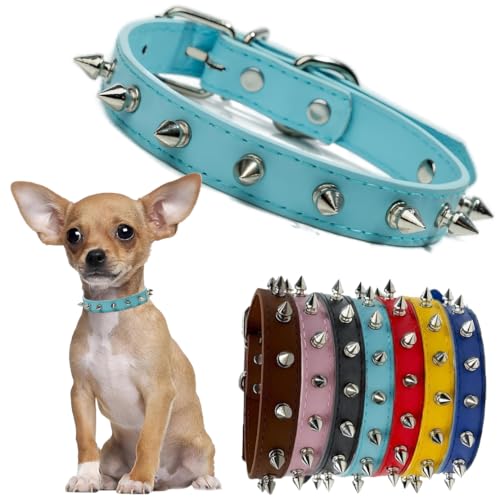 Hundehalsband mit Stacheln, Halsband, Leder, niedliches Halsband, Punk-Nieten, langlebig, mit Schnalle, verstellbar, für kleine, mittelgroße und große Hunde, Hellblau, XS von Hotlion