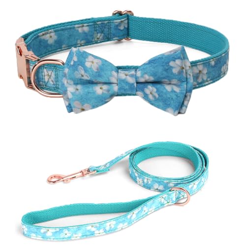 Hundehalsband und Leine, Set mit Fliege, niedliches Blumenmädchen, Hundehalsband, weich, strapazierfähig, Fliege, verstellbar, für kleine, mittelgroße und große Hunde (Blau, Größe M) von Hotlion