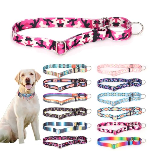 Martingale Hundehalsband, verstellbar, weiches Nylon mit speziellem Design, niedliches Muster, rutschfest, kein Entkommen, begrenztes Ersticken, für kleine, mittelgroße und große Hunde, Dobermann, von Hotlion