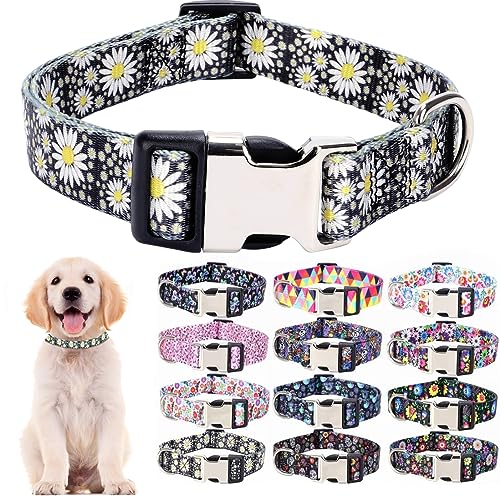 Nylon-Hundehalsband mit Gänseblümchen-Motiv, langlebig, verstellbar, niedlich, weich, für große Mädchen, weibliche Haustiere, Katzen, Kätzchen, Größe M von Hotlion