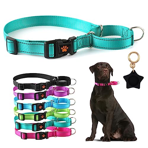 Reflektierendes Martingale-Hundehalsband, weiches Nylon, Welpen-Trainingshalsband mit Schnellverschluss-Schnalle, verstellbar, für große Rassen, Jungen, Mädchen, Haustiere, Blaugrün, XL von Hotlion