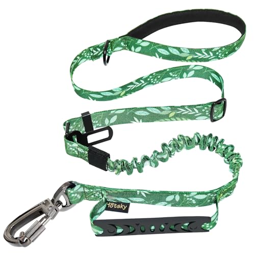 Robuste Hundeleine, Hotsky taktische Bungee-Hundeleine mit Auto-Sicherheitsgurt und Doppelgriff für mittelgroße und große Hunde, 1,2 m, verstellbar, stoßdämpfend, starke Hundeleine für Hundetraining, Spaziergänge (grün) Robuste Hundeleine, Hotsky taktische Bungee-Hundeleine mit Auto-Sicherheitsgurt und Doppelgriff für mittelgroße und große Hunde, 1,2 m, verstellbar, stoßdämpfend, starke Hundeleine für Hundetraining, Spaziergänge (grün) von Hotsky