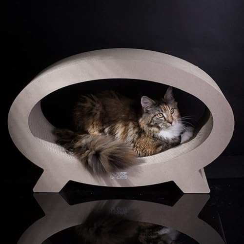 Katzenkratzer Ellipso Eco von House of Cats