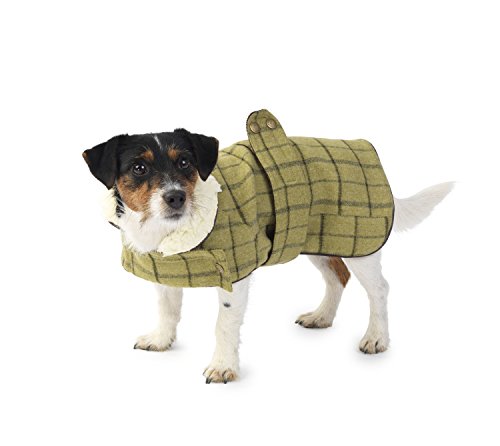 House of Paws Hundejacke, aus Tweed-Stoff, Größe XL, Grün von House of Paws