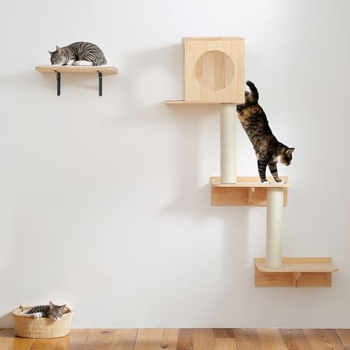 Houseables Wand Kratzbaum Wandmontierter Katzenbaum Katzenregale Katzenwandmöbel Set Katzenwandregale Katzenkletterregale Wandhalterung Katzenregale Katzenleisten für Wände Wand Katzenmöbel mit Haus von Houseables