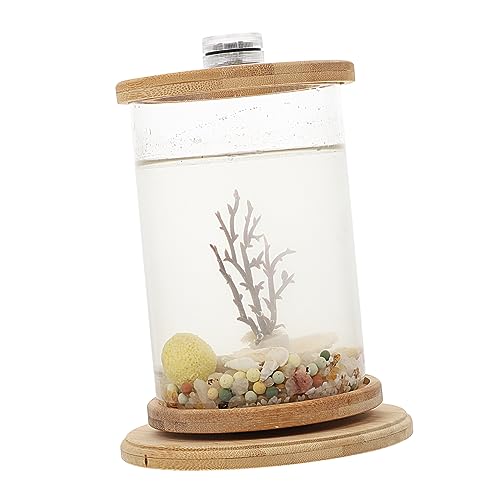 1 Satz Desktop Micro View Aquarium büro Dekoration bürodekorationen kunstpflanze Bürobedarf dekoratives Fischaquarium klein Mikrotank Eco-Flasche Zubehör rotieren schmücken Glas von Housoutil