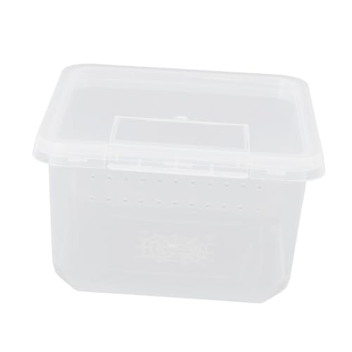 Housoutil 2 Stücke Box Reptilien Zubehör Komplette Set Mini Reptilien Container Spinne Springende Spinne Gehäuse Reptil Feeder Box von Housoutil