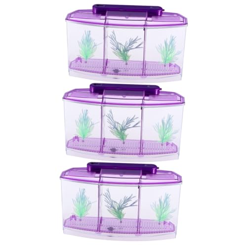 Housoutil 3St Kinder Aquarium Aqua Safe Aquarium Sicheres Aquarium Mini Aquarium Desktop-Aquarium Goldfischbecken Schreibtisch Betta-Box Goldfischglas kleines Fischbecken Büro Violett von Housoutil