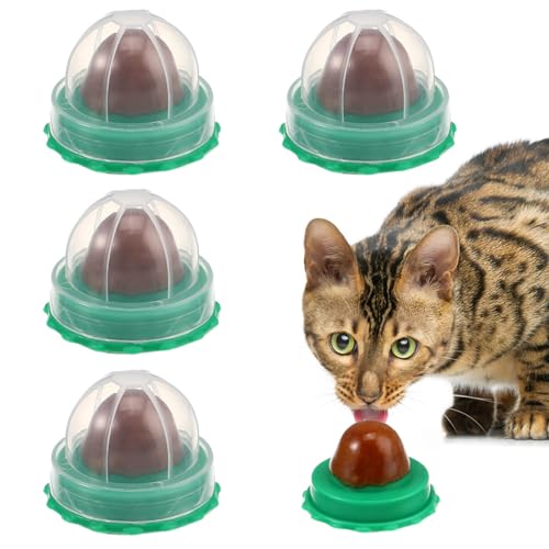 Housoutil 5 Stück Katzensnacks Bonbonwand Katzenminze Katzenminze-Ball Leckereien Leckbare Süßigkeiten Essbares Kauspielzeug für Katzen (Zufälliger Geschmack) von Housoutil