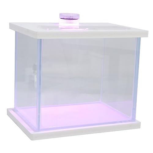 Housoutil Aqua-Aquarium Mehrzweck-Aquarium Dekoration Mini-Aquarium Luftpumpe Künstliches Aquarium Aquarium-Spielzeug Desktop-Aquarium Aquarium Für Jungen Und Mädchen von Housoutil